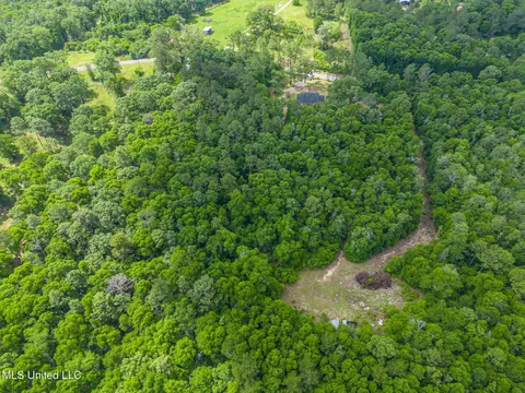Other - 196 Hopper Rd, Lucedale, MS 39452 photo 9 of 10