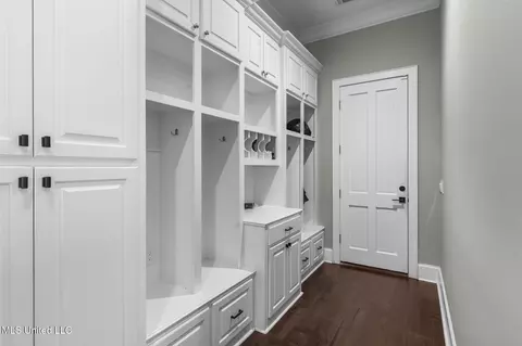 Entry Way - 302 Covington Cv, Madison, MS 39110 photo 3 of 6