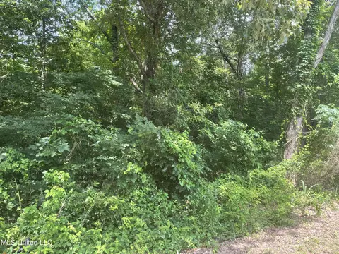 Magnolia Circle, Sarah, MS 38665