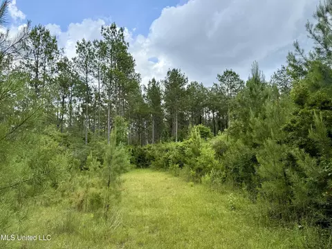 Sones Chapel Rd Road, Carriere, MS 39426