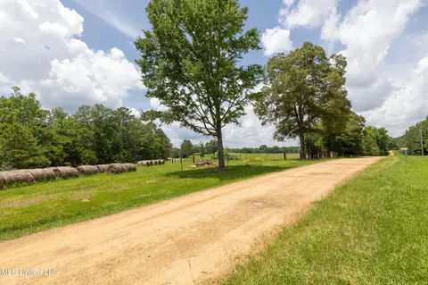 0 Midway Rd, Terry, MS 39170 photo 20
