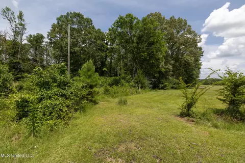 0 Midway Rd, Terry, MS 39170 photo 19