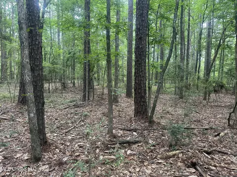 NW Watts Ln, Brookhaven, MS 39601