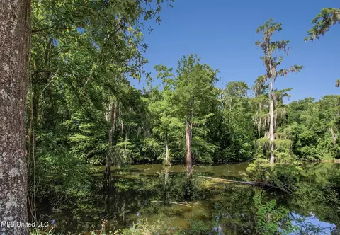 137 Hickory Ln, Lucedale, MS 39452 photo 16