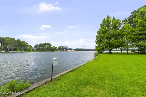 View/Area - 115 Mcdill Cv, Madison, MS 39110 photo 1 of 6