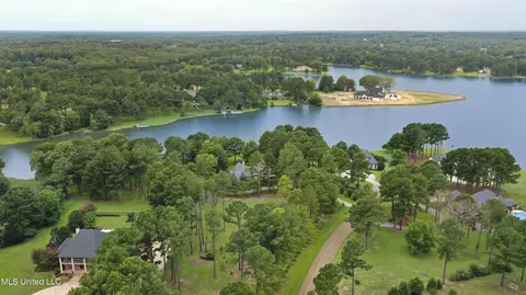 View/Area - 115 Mcdill Cv, Madison, MS 39110 photo 2 of 6