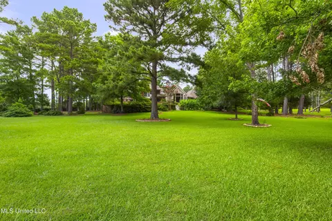 Exterior - 115 Mcdill Cv, Madison, MS 39110 photo 31 of 36