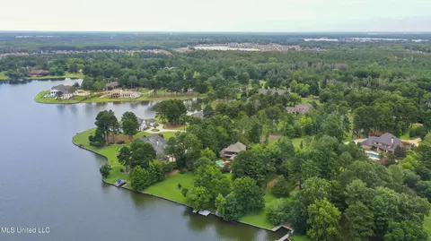 View/Area - 115 Mcdill Cv, Madison, MS 39110 photo 4 of 6