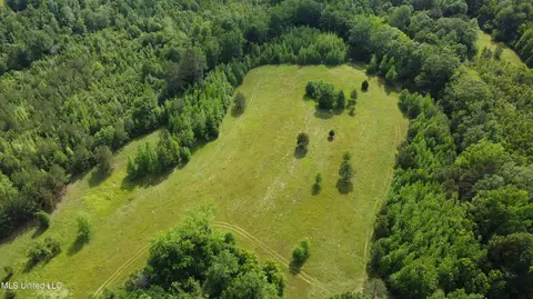 Fate Ward Road, Prentiss, MS 39474