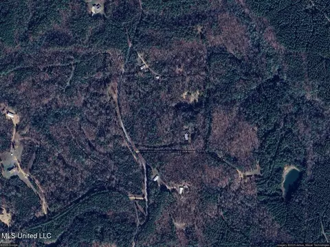 129 Cole Acres Ln, Braxton, MS 39044