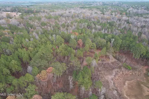 3960 Ms-16, Canton, MS 39046 photo 15