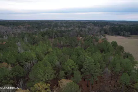 3960 Ms-16, Canton, MS 39046 photo 18