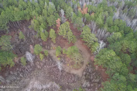 3960 Ms-16, Canton, MS 39046 photo 10