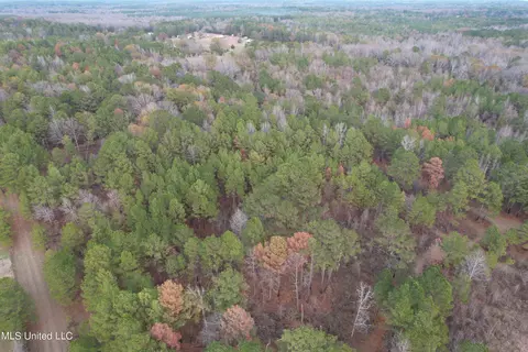 3960 Ms-16, Canton, MS 39046 photo 16