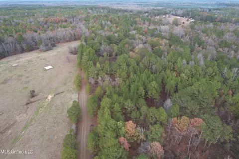 3960 Ms-16, Canton, MS 39046 photo 17