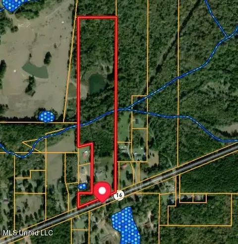 3960 Ms-16, Canton, MS 39046 photo 4