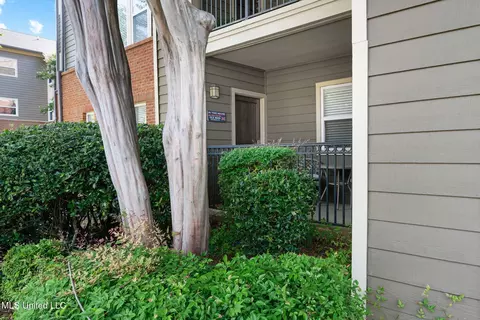 2100 Old Taylor Rd #119, Oxford, MS 38655