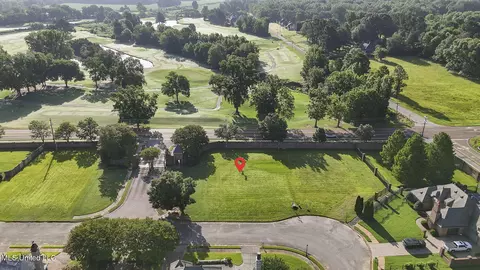 6056 E Fleur De Lis Cv, Olive Branch, MS 38654 photo 5