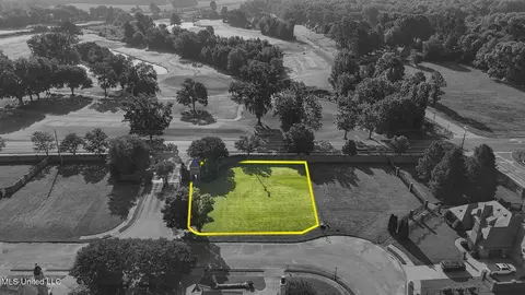 6056 E Fleur De Lis Cv, Olive Branch, MS 38654 photo 4
