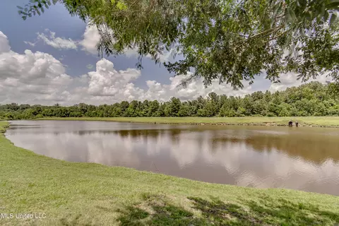 View/Area - 136 Genoa Dr #LOT 123, Madison, MS 39110 photo 2 of 2