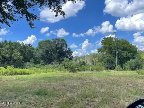 2742 King Rd, Forest, MS 39074 photo 7