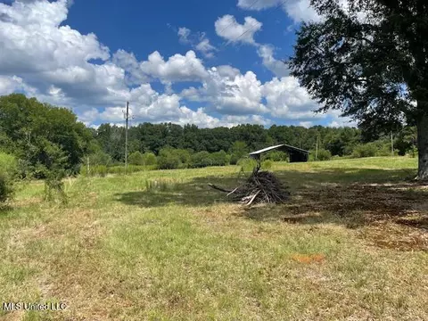 2742 King Rd, Forest, MS 39074 photo 8