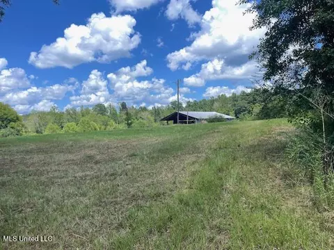 2742 King Rd, Forest, MS 39074