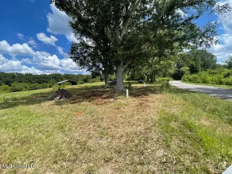 2742 King Rd, Forest, MS 39074 photo 3