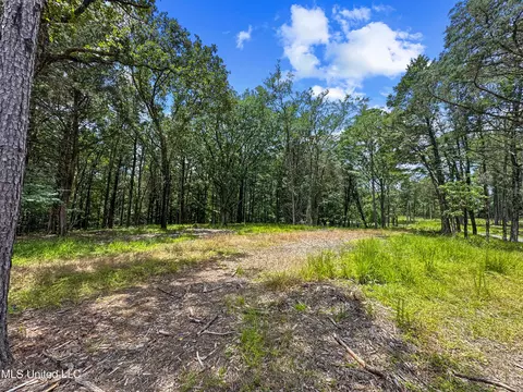 Canyon Ridge, Flora, MS 39071 photo 3