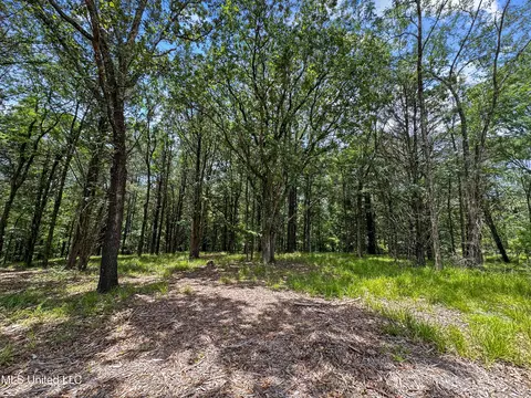 Canyon Ridge, Flora, MS 39071 photo 4