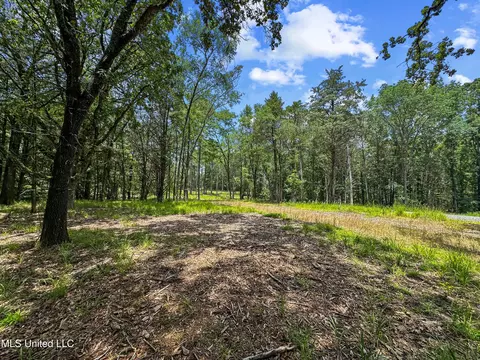 Canyon Ridge, Flora, MS 39071 photo 5