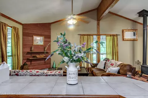 4173 Ruby Rd, Crystal Springs, MS 39059 photo 49