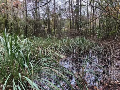 0 Inv 4145 Rd, Biloxi, MS 39532 photo 4