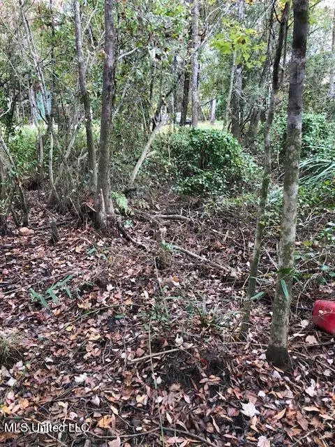 0 Inv 4145 Rd, Biloxi, MS 39532 photo 5