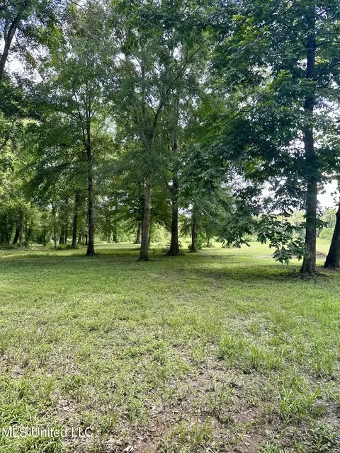 lot11 Pascagoula Dr, Lucedale, MS 39452