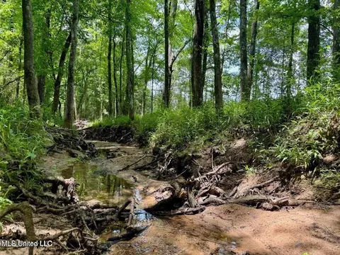 0005 Renfroe Rd, Canton, MS 39046 photo 8