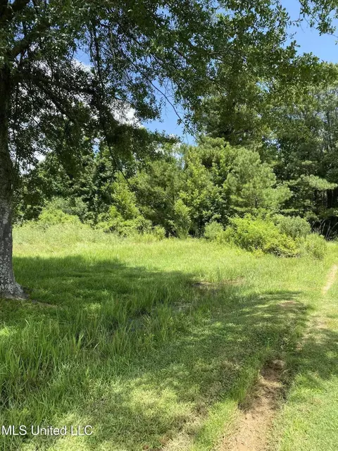 0 Way Rd, Canton, MS 39046 photo 2