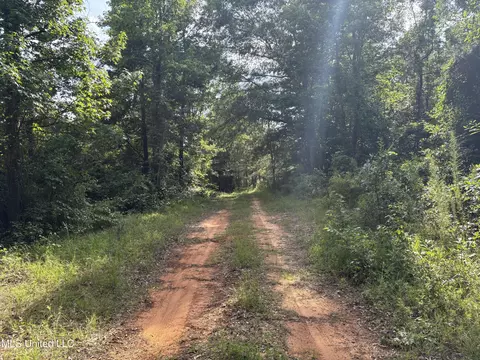 2344 Warrentown Rd, Pulaski, MS 39152 photo 5