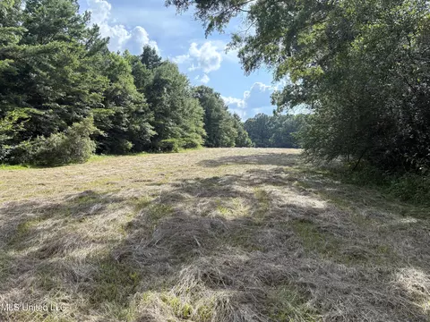 2344 Warrentown Rd, Pulaski, MS 39152 photo 3