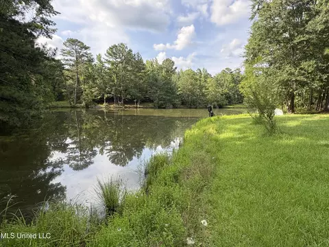 2344 Warrentown Rd, Pulaski, MS 39152 photo 4