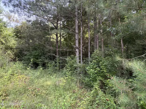 2344 Warrentown Rd, Pulaski, MS 39152 photo 7