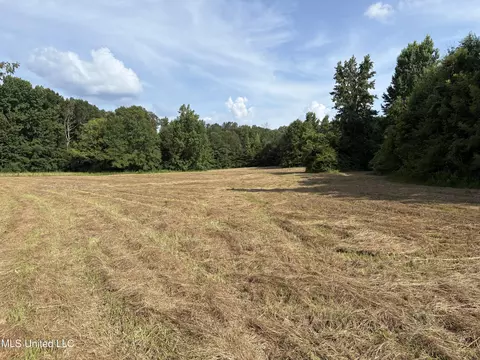 2344 Warrentown Rd, Pulaski, MS 39152 photo 2