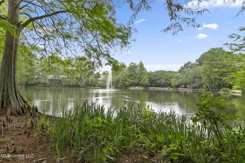 View/Area - 1 Cypress Ln, Jackson, MS 39211 photo 2 of 2