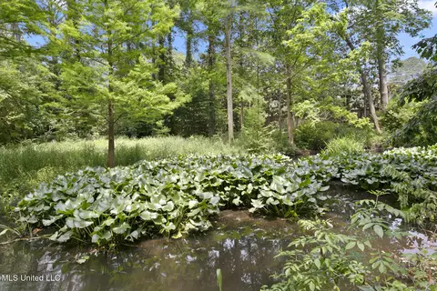 Other - 1 Cypress Ln, Jackson, MS 39211 photo 16 of 16