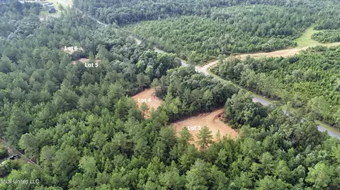 lot4 W Wortham Rd, Saucier, MS 39574 photo 8