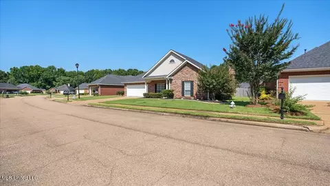 Other - 107 Pavilion Dr, Brandon, MS 39042 photo 10 of 10