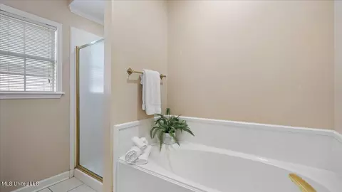 Bath - 107 Pavilion Dr, Brandon, MS 39042 photo 3 of 4