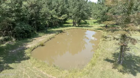 View/Area - 112 Wolf Branch Rd, Perkinston, MS 39573 photo 2 of 3
