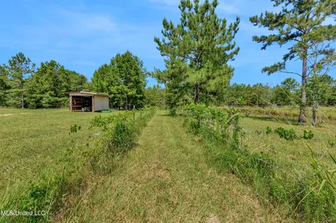 Other - 112 Wolf Branch Rd, Perkinston, MS 39573 photo 17 of 22