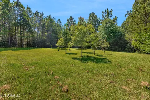 Exterior - 112 Wolf Branch Rd, Perkinston, MS 39573 photo 3 of 6